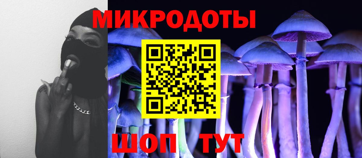 Галлюциногенные грибы ЛСД Урус-Мартан