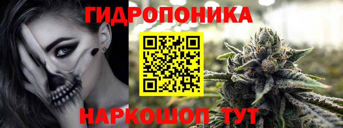Бошки Шишки MAZAR Урус-Мартан